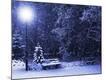 Photographic Print