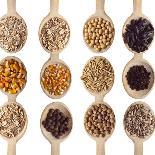 Different Type Of Seeds On Wooden Spoon-adamr-Stretched Canvas