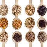 Different Type Of Seeds On Wooden Spoon-adamr-Framed Premium Giclee Print