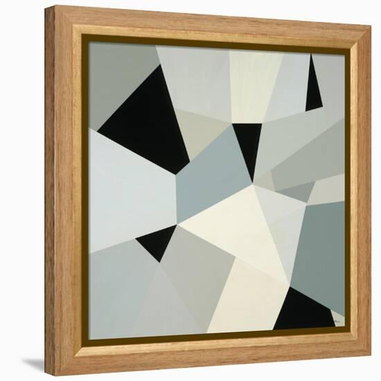 Adapt II-Randy Hibberd-Framed Stretched Canvas