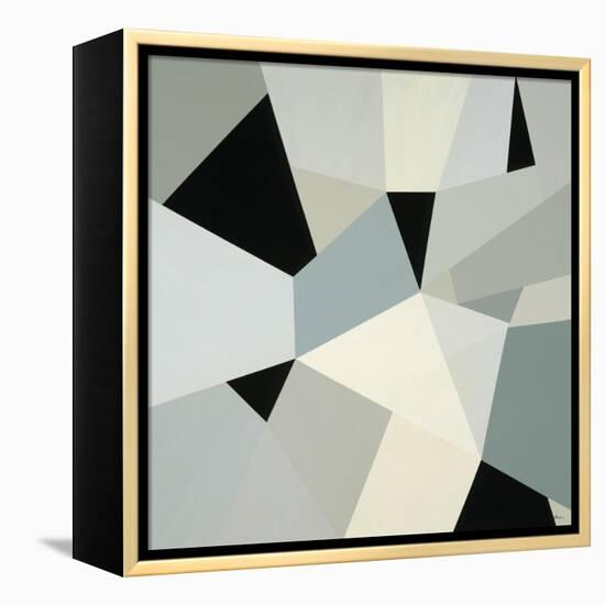 Adapt II-Randy Hibberd-Framed Stretched Canvas