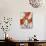 Adaptation IV-Joshua Schicker-Mounted Premium Giclee Print displayed on a wall