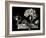 Adaptation-Sandra Willard-Framed Giclee Print