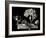 Adaptation-Sandra Willard-Framed Giclee Print