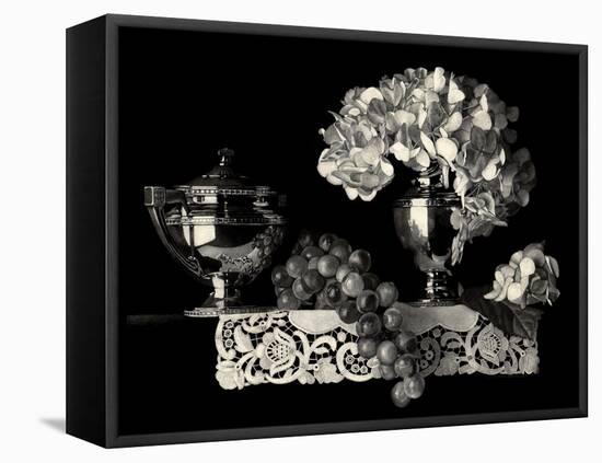 Adaptation-Sandra Willard-Framed Premier Image Canvas