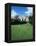 Adare, Ireland-null-Framed Premier Image Canvas