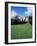 Adare, Ireland-null-Framed Photographic Print