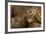 Adder (Vipera Berus) Basking in the Spring, Staffordshire, England, UK, April-Danny Green-Framed Photographic Print