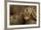 Adder (Vipera Berus) Basking in the Spring, Staffordshire, England, UK, April-Danny Green-Framed Photographic Print