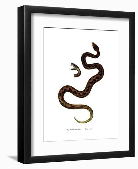 Adder-null-Framed Giclee Print