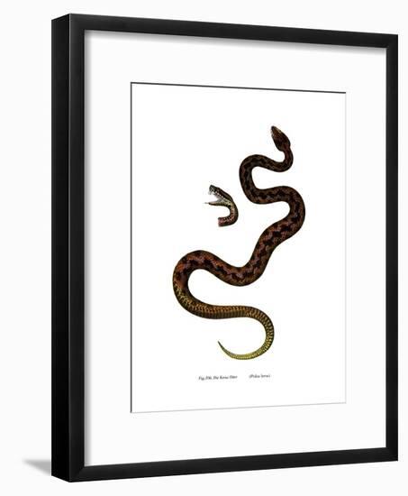 Adder-null-Framed Giclee Print