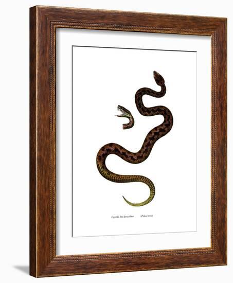 Adder-null-Framed Giclee Print