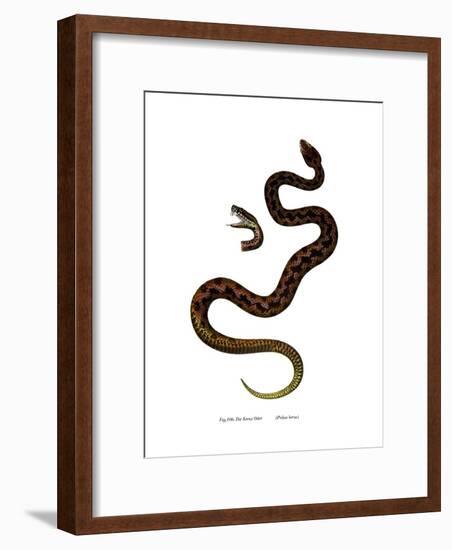 Adder-null-Framed Giclee Print