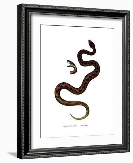 Adder-null-Framed Giclee Print