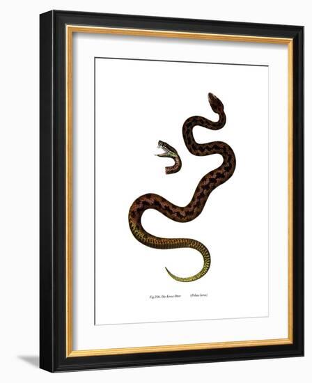 Adder-null-Framed Giclee Print