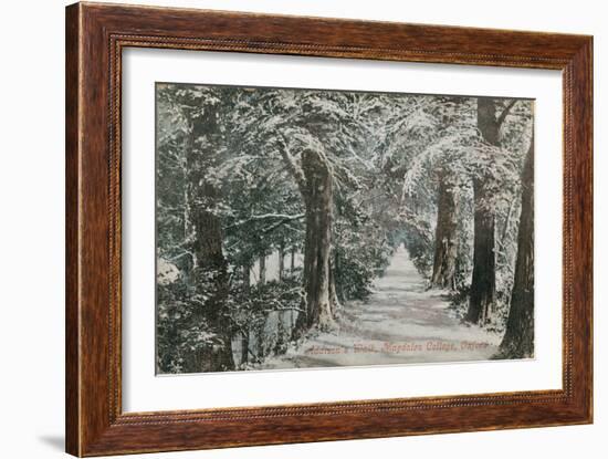 Addison's Walk, Magdalen College, Oxford. Postcard Sent in 1913-English Photographer-Framed Giclee Print