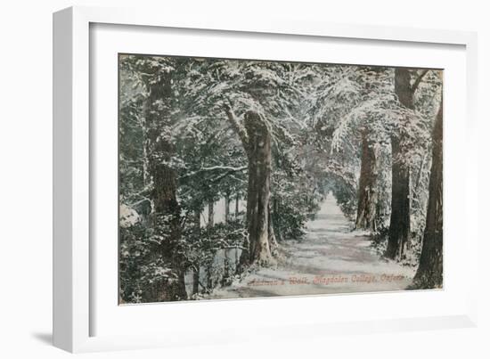 Addison's Walk, Magdalen College, Oxford. Postcard Sent in 1913-English Photographer-Framed Giclee Print