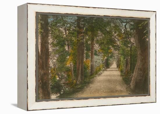 Addison's Walk, Oxford. Postcard Sent in 1913-English Photographer-Framed Premier Image Canvas