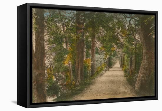 Addison's Walk, Oxford. Postcard Sent in 1913-English Photographer-Framed Premier Image Canvas