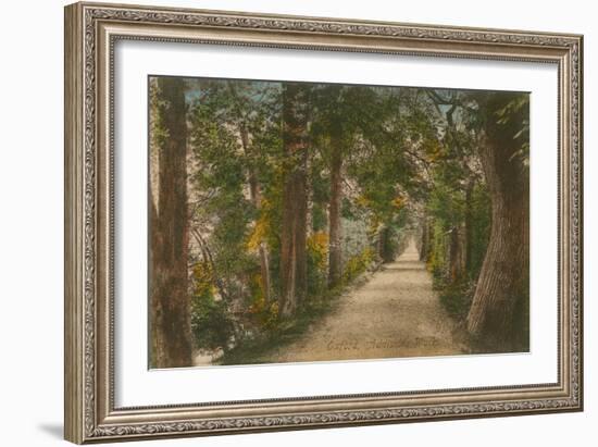 Addison's Walk, Oxford. Postcard Sent in 1913-English Photographer-Framed Giclee Print