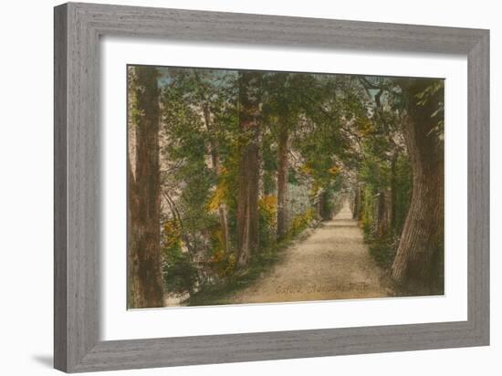 Addison's Walk, Oxford. Postcard Sent in 1913-English Photographer-Framed Giclee Print