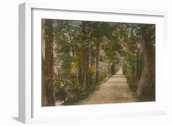 Addison's Walk, Oxford. Postcard Sent in 1913-English Photographer-Framed Giclee Print