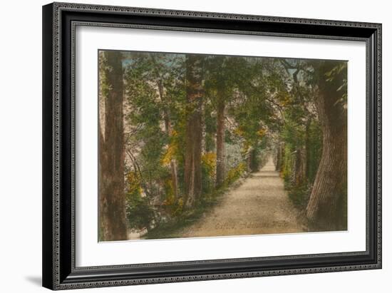 Addison's Walk, Oxford. Postcard Sent in 1913-English Photographer-Framed Giclee Print