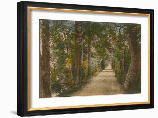 Addison's Walk, Oxford. Postcard Sent in 1913-English Photographer-Framed Giclee Print