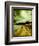 Addison-Cristina Carra Caso-Framed Photographic Print