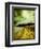 Addison-Cristina Carra Caso-Framed Photographic Print