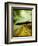 Addison-Cristina Carra Caso-Framed Photographic Print