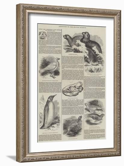 Additions to the British Museum-null-Framed Giclee Print