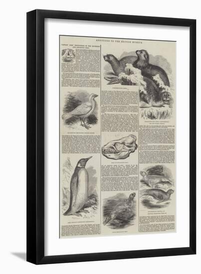 Additions to the British Museum-null-Framed Giclee Print