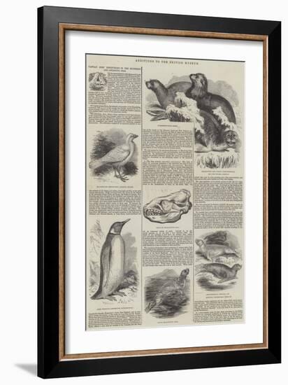 Additions to the British Museum-null-Framed Giclee Print