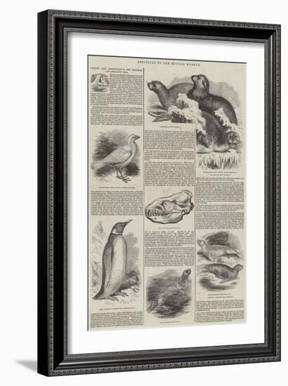 Additions to the British Museum-null-Framed Giclee Print