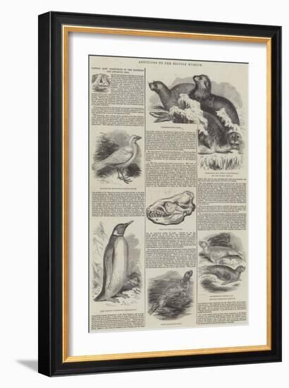 Additions to the British Museum-null-Framed Giclee Print