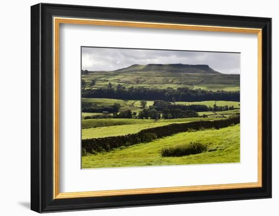 Addlebrough from Askrigg in Wensleydale, Yorkshire Dales, North Yorkshire, Yorkshire, England, UK-Mark Sunderland-Framed Photographic Print