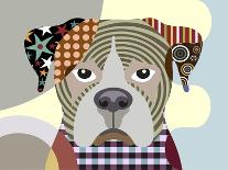 Boston Terrier-Adefioye Lanre-Giclee Print