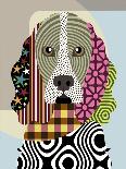 Afghan Hound Dog-Adefioye Lanre-Framed Giclee Print