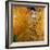 Adele Bloch-Bauer I, 1907-Gustav Klimt-Framed Premium Giclee Print