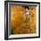 Adele Bloch-Bauer I, 1907-Gustav Klimt-Framed Giclee Print