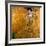 Adele Bloch-Bauer I, 1907-Gustav Klimt-Framed Giclee Print