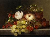Still Life with Peach, Grapes and Rosehips, 1865-Adelheid Dietrich-Giclee Print