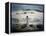 Adelie Penguin, Antarctica-Paul Souders-Framed Premier Image Canvas