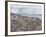 Adelie Penguin Colony (Pygoscelis Adeliae), Commonwealth Bay, Antarctica, Polar Regions-Thorsten Milse-Framed Photographic Print