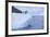 Adelie Penguin Jumping into the Sea-DLILLC-Framed Photographic Print