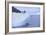 Adelie Penguin Jumping into the Sea-DLILLC-Framed Photographic Print