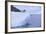 Adelie Penguin Jumping into the Sea-DLILLC-Framed Photographic Print
