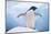 Adelie Penguin with Wings Outstretched-DLILLC-Mounted Photographic Print