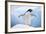 Adelie Penguin with Wings Outstretched-DLILLC-Framed Photographic Print